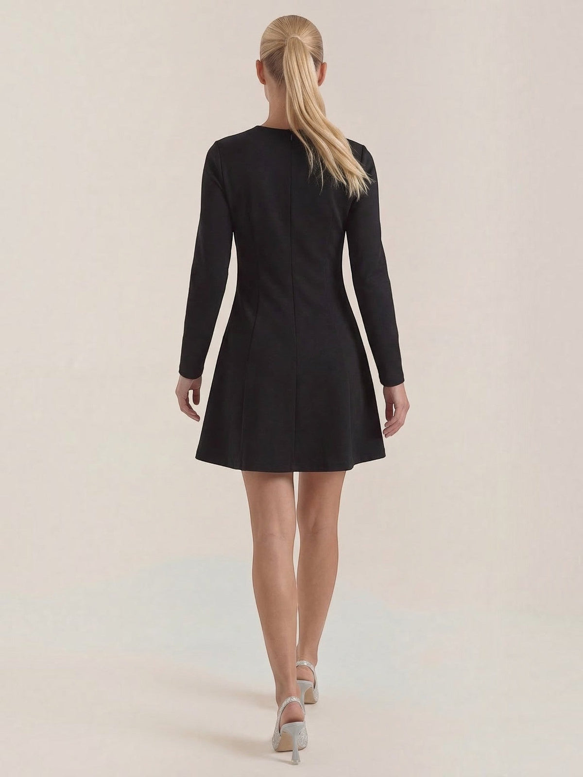 Ebony Long Sleeve Fit and Flare Mini Dress
