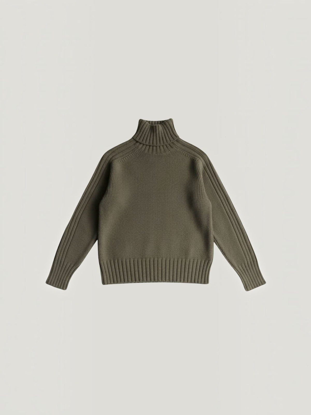 Lois Ribbed Oversized Turtleneck Sweater